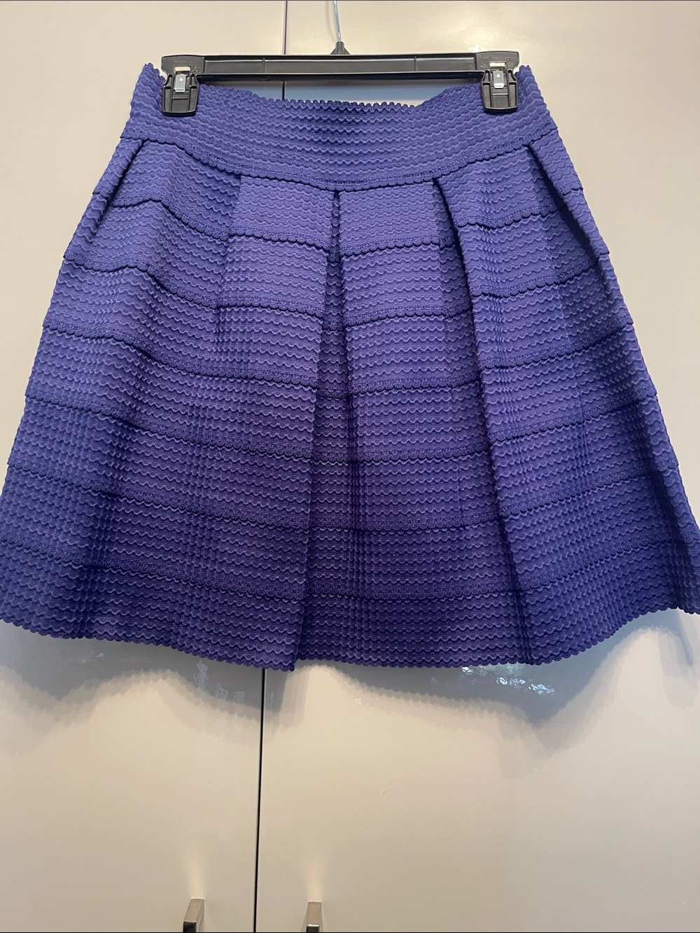 Alythea Textured Purple Skater Skirt